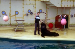 zoo-296