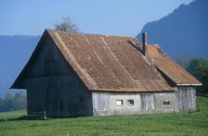 barn-zxq