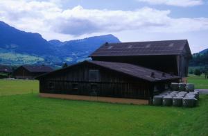 farm-z7jt