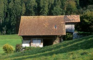 old-barn-z6tg