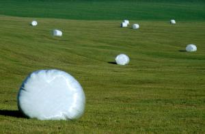 agriculture-photo-tps3