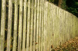 garden-fencing-0po9